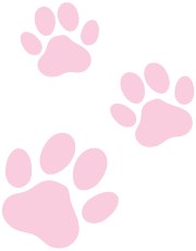 Mini Dachshund footprint