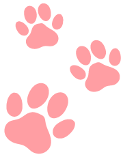 Mini Dachshund footprint pink